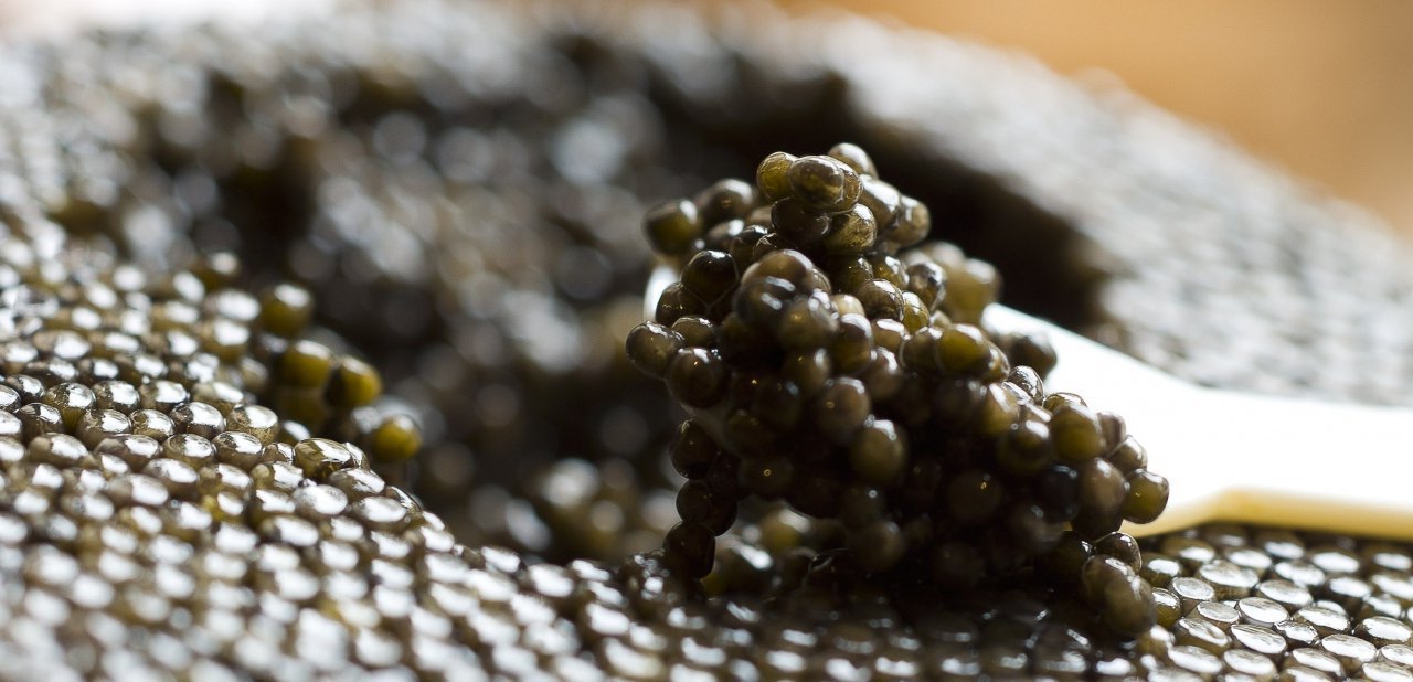 Caviar de Caviar House & Prunier