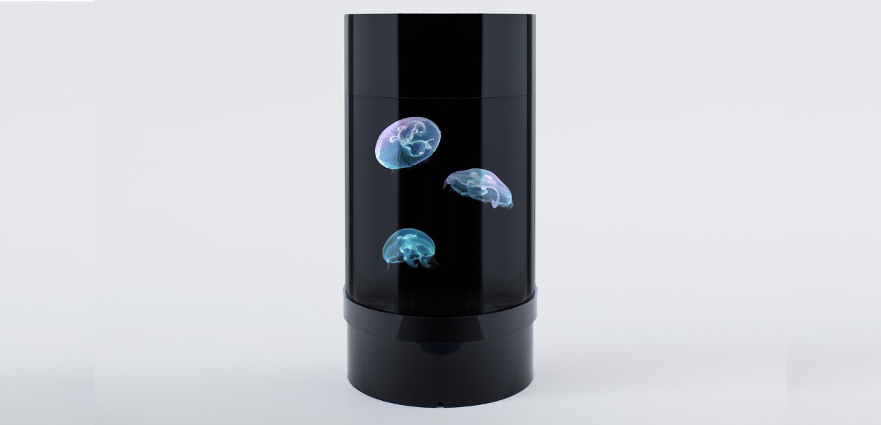 Cylinder Nano, el acuario de lujo de Jellyfish Art