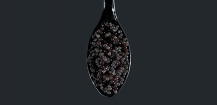 Caviar beluga: tan apreciado como escaso
